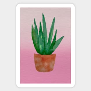 Snake Plant (pink and peach) Sticker